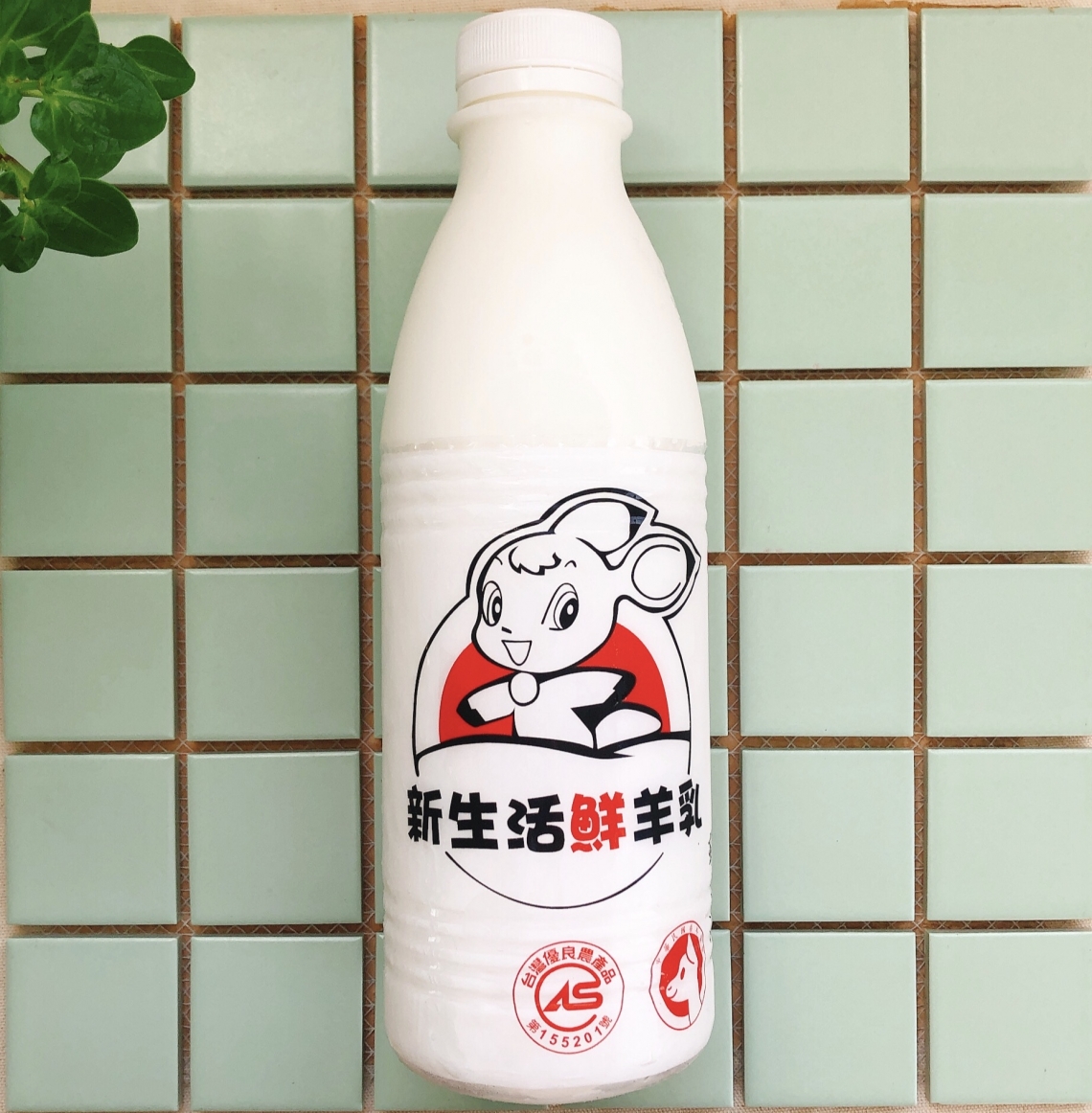 新生活鮮羊乳為什麼沒有腥味？