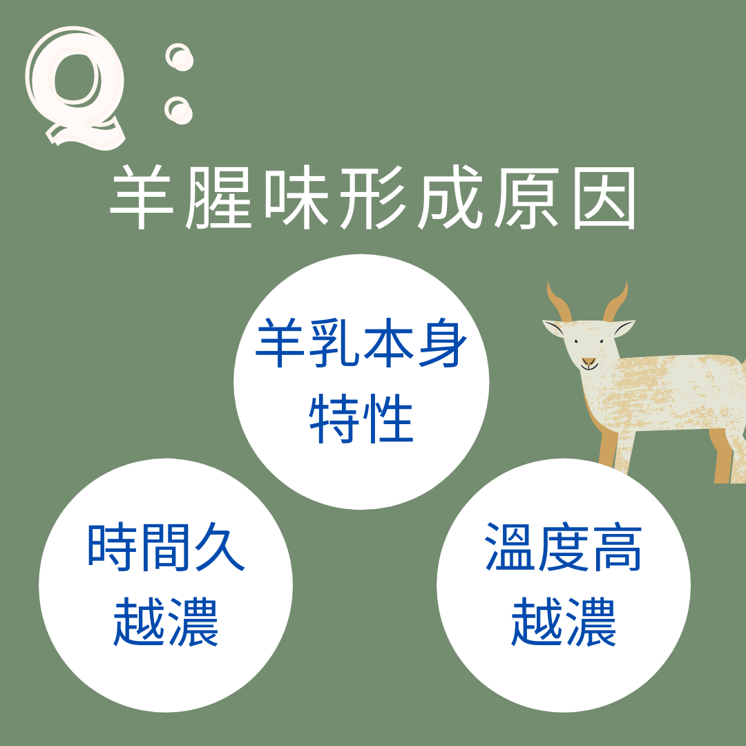 超低腥味新生活鮮羊乳|新生活鮮羊乳為什麼不像記憶中羊騷味那麼重呢?是因為太新鮮啦~~首先,先來說說:羊乳為什麼會有腥味? 1. 因為在羊乳脂肪酸中的葵酸高是主要特殊味道來源,短鏈脂肪酸會因儲存時間越長而氧化產生味道。 2. 飼養管理跟榨乳衛生也會影響。羊乳很容易吸附味道,牧場的衛生環境不好細菌孳生導致的異味讓羊腥味更重。 3. 羊乳的飲用習慣,大多是一大清晨喝溫熱的羊乳,經過兩次殺菌後,羊奶的味道會更加明顯。