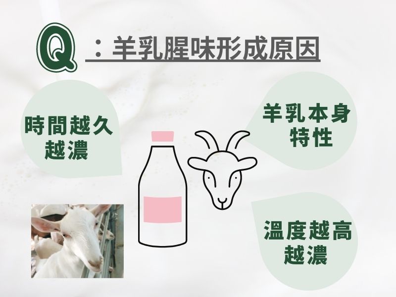 原來不是所有羊奶的腥味濃度都一樣－羊乳腥味形成的三大因素