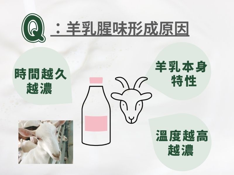 羊乳腥味形成的3種原因