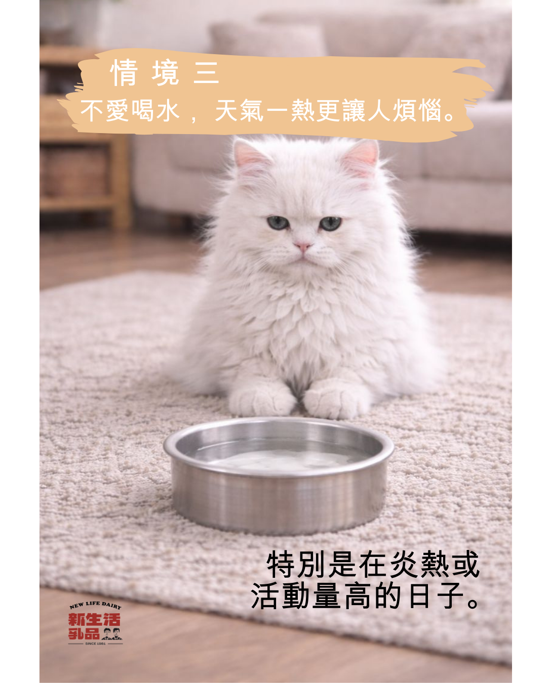 寵物羊奶/國產羊奶/新生活羊奶